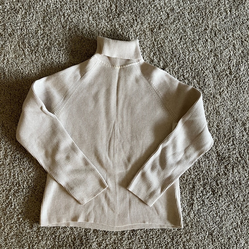 Turtleneck Sweater